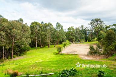 Farm For Sale - VIC - Woori Yallock - 3139 - HORSE LOVERS DREAM...5.5 ACRES APPROX  (Image 2)