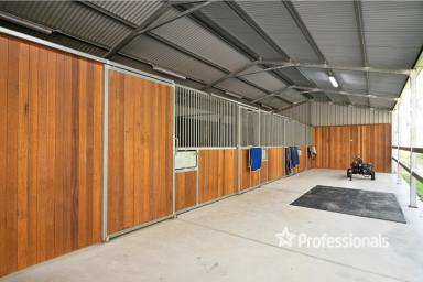 Farm For Sale - VIC - Woori Yallock - 3139 - HORSE LOVERS DREAM...5.5 ACRES APPROX  (Image 2)