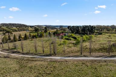 Farm Auction - NSW - Chatsbury - 2580 - 'Ferintosh Park' | Magical Rural Sanctuary unites rich heritage and modern style  (Image 2)