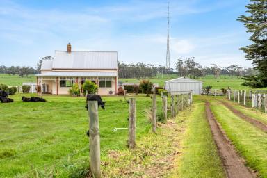 Farm For Sale - VIC - Elingamite - 3266 - "Superb Country Lifestyle"  (Image 2)