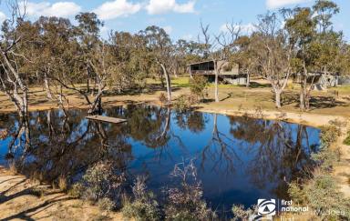 Farm For Sale - NSW - Gulgong - 2852 - CONTEMPORARY FAMILY HOME IN A PEACEFUL RURAL SETTING  (Image 2)