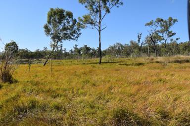 Farm For Sale - QLD - Kelsey Creek - 4800 - Your New Adventure Awaits !!!!  (Image 2)