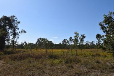 Farm For Sale - QLD - Kelsey Creek - 4800 - Your New Adventure Awaits !!!!  (Image 2)