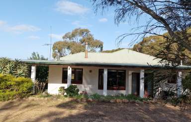 Farm For Sale - SA - Wisanger - 5223 - Gap Hills  (Image 2)