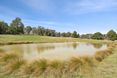 Farm For Sale - NSW - Binda - 2583 - COUNTRYSIDE RETREAT  (Image 2)