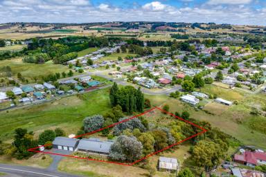 Farm For Sale - NSW - Crookwell - 2583 - NOT YOUR ORDINARY HOME  (Image 2)