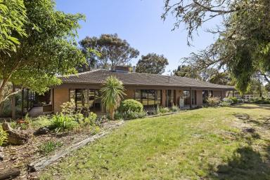 Farm For Sale - VIC - Mount Moriac - 3240 - Well Appointed Equine Lifestyle Property  (Image 2)