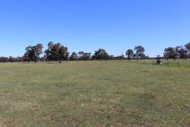 Farm For Sale - SA - Tintinara - 5266 - APPEALING CLOSE TO TOWN, RURAL LIFESTYLE OR ADD ON ACREAGE  (Image 2)