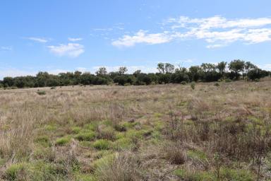 Farm Auction - QLD - Pirrinuan - 4405 - LOCATION, LOCATION, LOCATION  (Image 2)