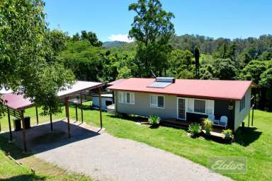 Farm For Sale - QLD - Pie Creek - 4570 - RENOVATED HOME WITH CAPTIVATING CREEK FRONTAGE  (Image 2)