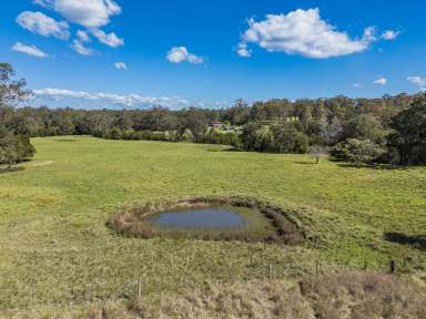 Farm For Sale - NSW - Clarence Town - 2321 - Looking for the family farm?  (Image 2)