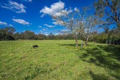 Farm Auction - NSW - Clarence Town - 2321 - Stunning 43-Acre Acreage in Clarence Town - Your Dream Retreat Awaits!  (Image 2)