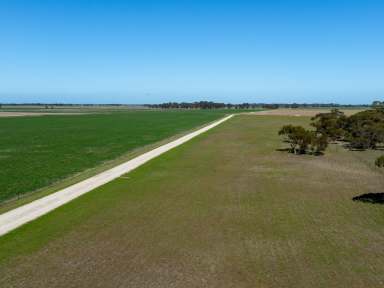 Farm For Sale - SA - Tintinara - 5266 - "Dandaraga" - As a Whole or in 3 Lots  Great Location, Flexible Lucerne Grazing, Irrigation, Crop  (Image 2)