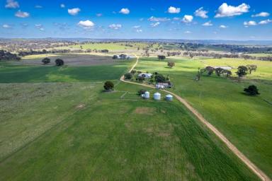 Farm For Sale - NSW - Boorowa - 2586 - WELCOME TO ALTONDALE  (Image 2)