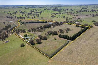 Farm For Sale - NSW - Crookwell - 2583 - SERENE COUNTRY LIVING AWAITS  (Image 2)