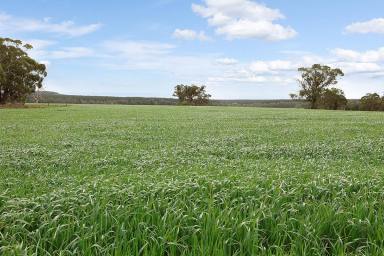 Farm For Sale - VIC - Dereel - 3352 - DELIGHTFUL PRODUCTIVE BALLARAT DISTRICT COUNTRY  (Image 2)