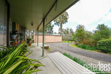 Farm For Sale - TAS - Dilston - 7252 - Private and Picturesque  (Image 2)