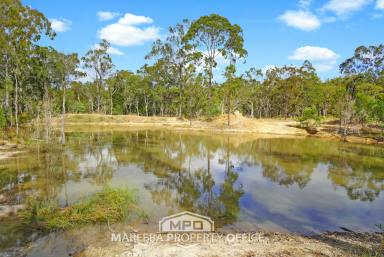 Farm For Sale - QLD - Biboohra - 4880 - LARGE SCALE FREEHOLD GRAZING LAND  (Image 2)