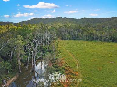 Farm For Sale - QLD - Biboohra - 4880 - LARGE SCALE FREEHOLD GRAZING LAND  (Image 2)