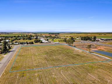 Farm For Sale - QLD - Thabeban - 4670 - Prime 1.96ha Industrial Allotment – Unmatched Opportunity in Bundaberg  (Image 2)