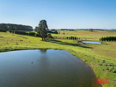 Farm For Sale - NSW - Black Springs - 2787 - Mt Bathurst  (Image 2)