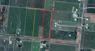 Farm For Sale - QLD - Horseshoe Lagoon - 4809 - Expansive Land in Serene Horseshoe Lagoon Ideal for Development or Investment  (Image 2)