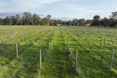 Farm For Sale - VIC - Locksley - 3665 - Unique 1870s Residence with Vineyard and Grazing Land in the Strathbogie Ranges  (Image 2)