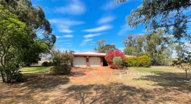 Farm For Sale - QLD - Dalby - 4405 - EXCEPTIONAL HOME ON 1.5 ACRES - INSPECTION A MUST TO APPRECIATE THE SIZE AND QUALITY  (Image 2)