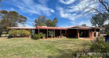 Farm For Sale - QLD - Dalby - 4405 - EXCEPTIONAL HOME ON 1.5 ACRES  (Image 2)