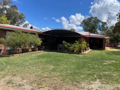 Farm For Sale - QLD - Dalby - 4405 - EXCEPTIONAL HOME ON 1.5 ACRES  (Image 2)