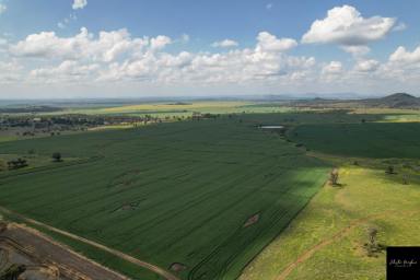 Farm For Sale - NSW - Mullaley - 2379 - GRAIN & BEEF POWERHOUSE IN HIGHLY REGARDED MULLALEY DISTRICT  (Image 2)