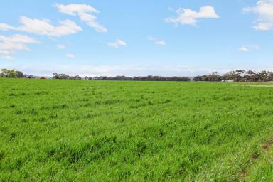 Farm For Sale - VIC - Shelford - 3329 - ATTRACTIVE QUALITY SHELFORD DISTRICT PROPERTY  (Image 2)