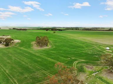 Farm For Sale - VIC - Shelford - 3329 - ATTRACTIVE QUALITY SHELFORD DISTRICT PROPERTY  (Image 2)