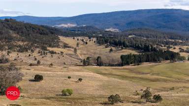 Farm For Sale - NSW - Krawarree - 2622 - Breathtaking Views  (Image 2)