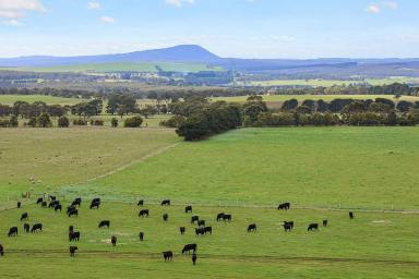 Farm For Sale - VIC - Mount Mercer - 3352 - SIGNIFICANT HISTORIC SOUTHERN VIC PROPERTY  (Image 2)