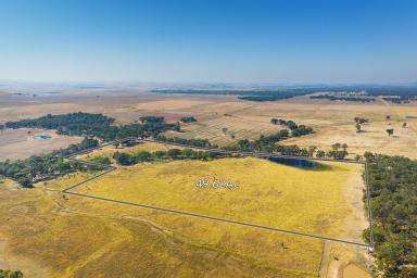 Farm For Sale - VIC - Red Lion - 3371 - Big Red Lion  (Image 2)