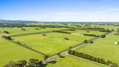 Farm For Sale - VIC - Tyers - 3844 - Incredible Acreage Lifestyle Awaits  (Image 2)