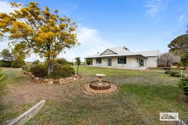 Farm For Sale - VIC - Marnoo - 3387 - Beautifully Maintained Horse Property/Hobby Farm  (Image 2)