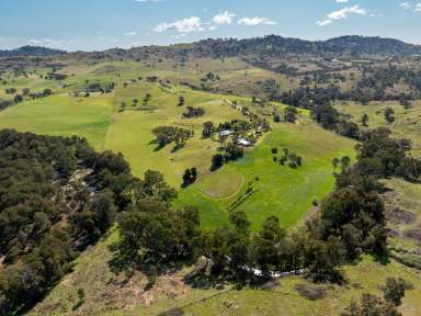 Farm For Sale - NSW - Darbys Falls - 2793 - Established Homestead & Infrastructure with Lachlan River Frontage  (Image 2)