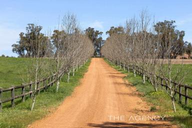 Farm For Sale - WA - Gidgegannup - 6083 - "Simply Superb-The Ultimate Equine and Lifestyle Property"  (Image 2)