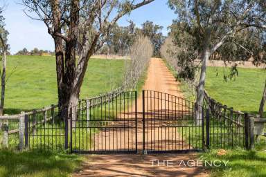 Farm For Sale - WA - Gidgegannup - 6083 - "Simply Superb-The Ultimate Equine and Lifestyle Property"  (Image 2)