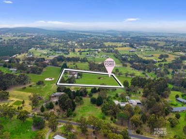 Farm For Sale - VIC - Hazelwood North - 3840 - Relaxed Rural Lifestyle  (Image 2)