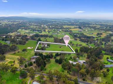 Farm For Sale - VIC - Hazelwood North - 3840 - Relaxed Rural Lifestyle  (Image 2)