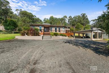 Farm For Sale - VIC - Koornalla - 3844 - Sublime Koornalla Retreat  (Image 2)