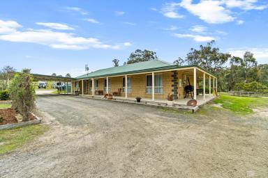 Farm For Sale - VIC - Seaton - 3858 - Charming Rural Retreat On 4.8 Acres  (Image 2)