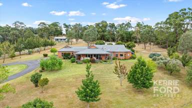 Farm For Sale - VIC - Tyers - 3844 - Magnificent View - Tyers Acreage  (Image 2)