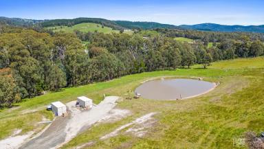 Farm For Sale - VIC - Callignee - 3844 - Beautiful Callignee Acreage  (Image 2)