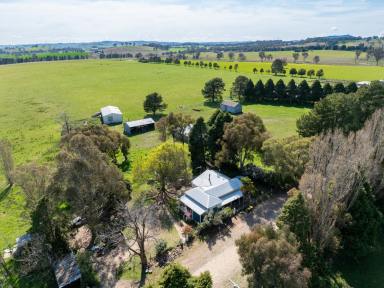 Farm Auction - NSW - Lyndhurst - 2797 - "Thornfield" - Blue Ribbon Property in Desirable Location!  (Image 2)