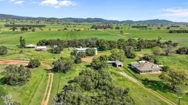 Farm For Sale - NSW - Tamworth - 2340 - "Macumba" Superbly Positioned 25km to Tamworth Centre  (Image 2)