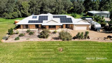 Farm For Sale - WA - Beermullah - 6503 - A Rare Gem - One of The Best Lifestyle Properties in the District!  (Image 2)